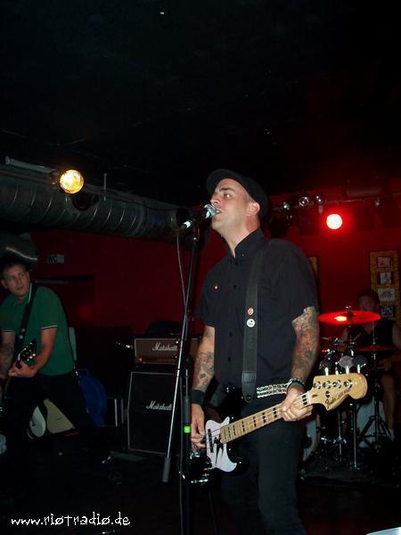street_dogs--000042.JPG.jpg